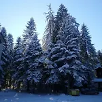 Park 119 보로베츠