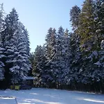 Park 119 * 보로베츠