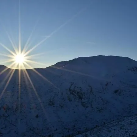 Park 119 Apartament Boroveț