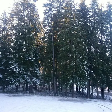 Apartament Park 119 *