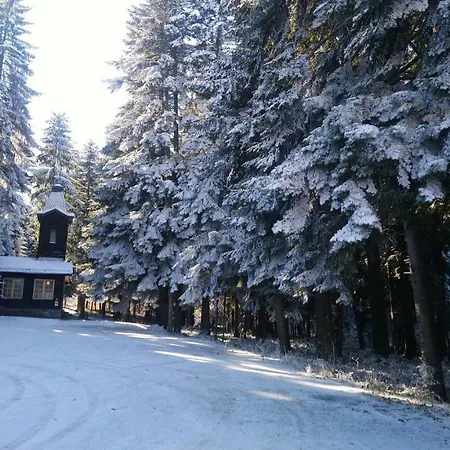 Apartament Park 119 Boroveț