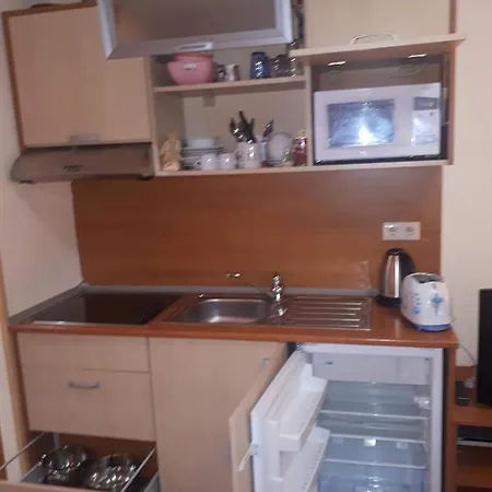 Park 119 Apartament Boroveț
