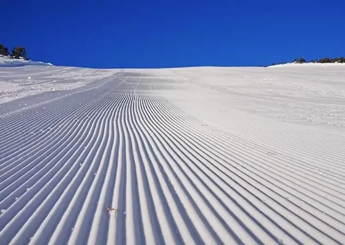 Park 119 Апартаменты Боровец