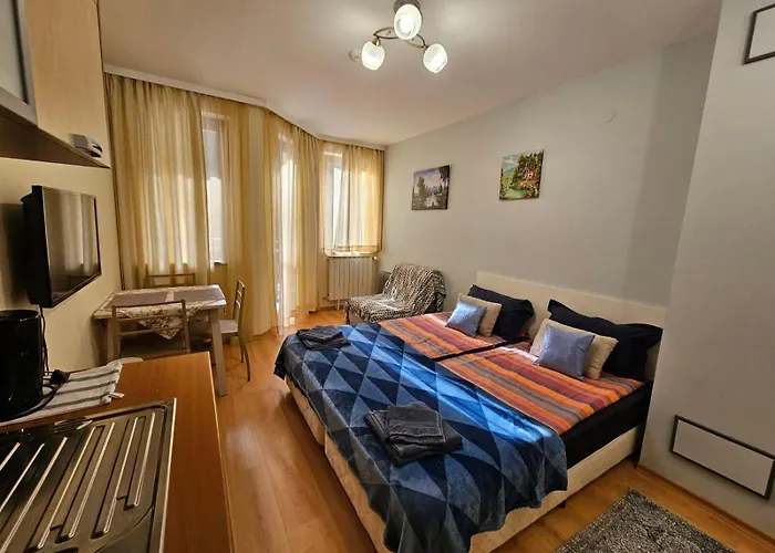 Park 119 Боровец