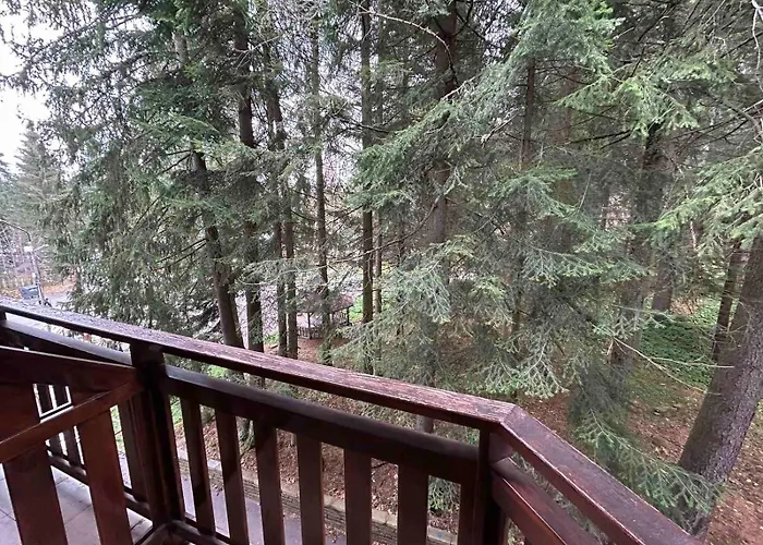 Park 119 Боровец