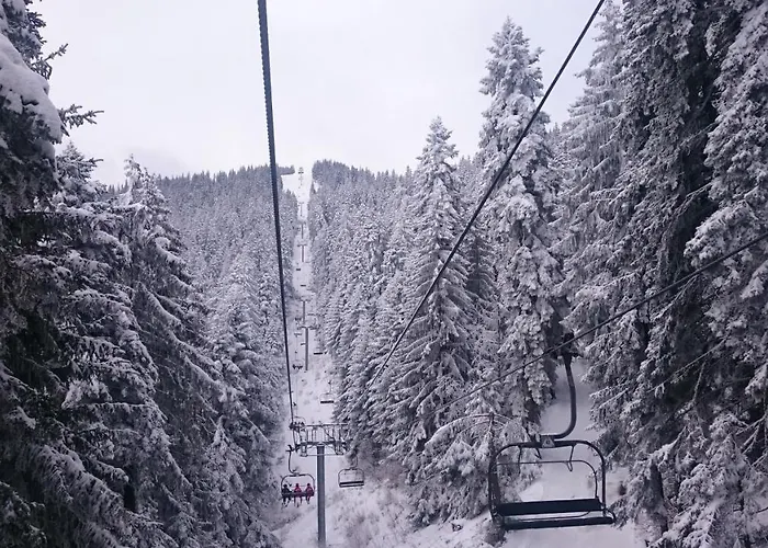 Park 119 Апартаменты Боровец