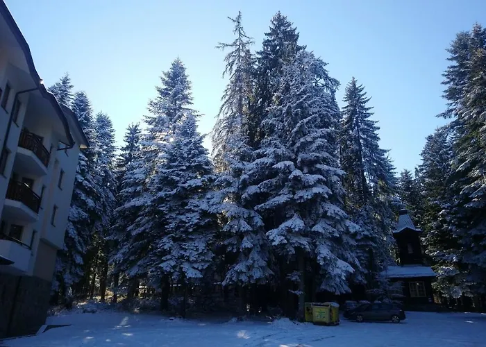 Park 119 Боровец