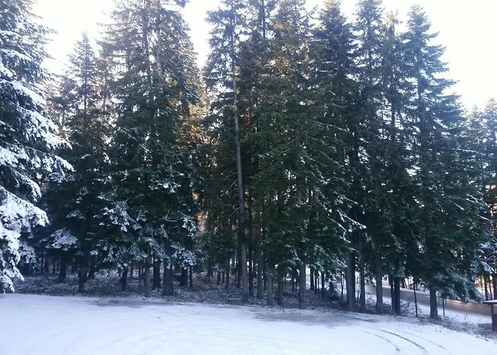 Апартаменты Park 119 *