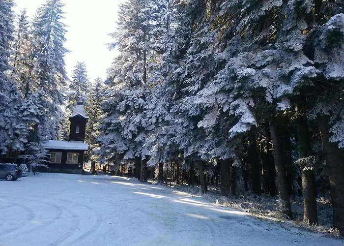 Апартаменты Park 119 Боровец