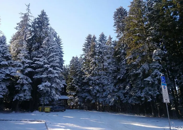 Park 119 * Боровец